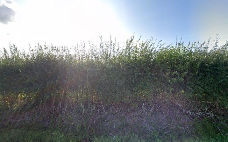 1444 bb586eb53f36 768x480
