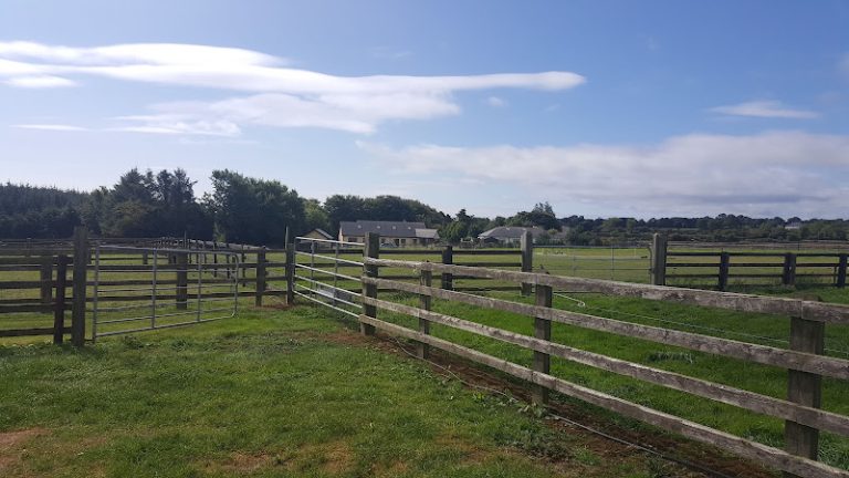 822 c557f1f2446d 768x432